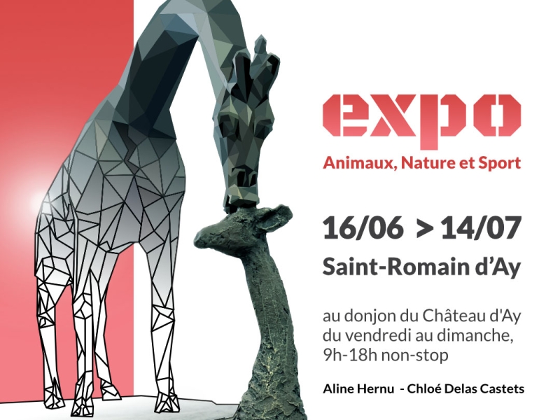 expo-ans