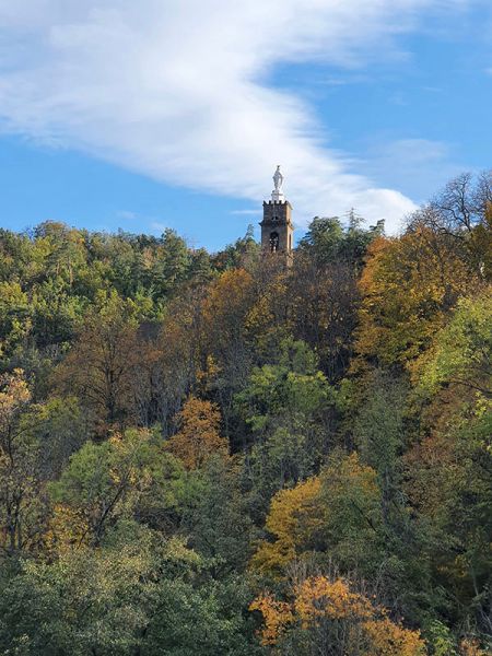 2020102754833 2020102754833