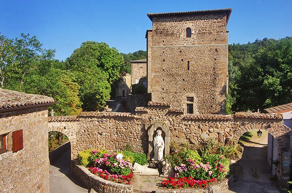 entreedusite entreedusite