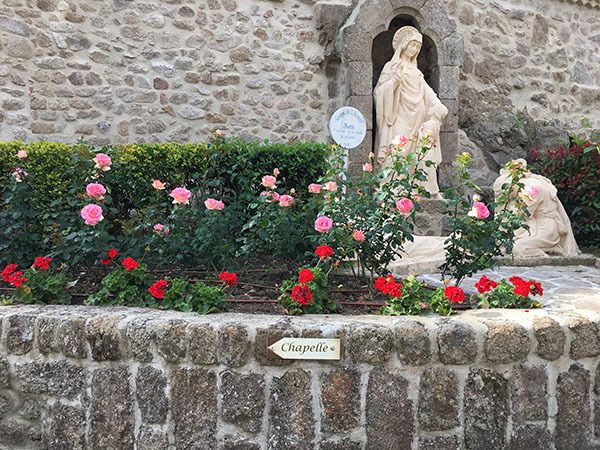 roses N.D.dAy roses N.D.dAy